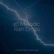 40 Melodic Rain Drops