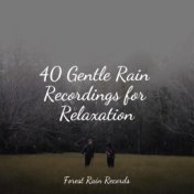 40 Gentle Rain Recordings for Relaxation