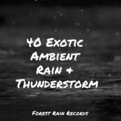 40 Exotic Ambient Rain & Thunderstorms
