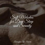 Soft Melodies for Deep Sleep and Serenity