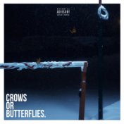 Crows or Butterflies