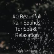 40 Beautiful Rain Sounds for Spa & Relaxation