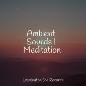 Ambient Sounds | Meditation