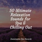 50 Ultimate Relaxation Sounds for Spa & Chilling Out