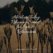 Absolute Today: Relaxing Sounds for Spa & Relaxation