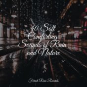 40 Soft Comforting Sounds of Rain and Nature