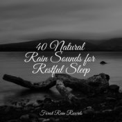 40 Natural Rain Sounds for Restful Sleep