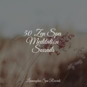 50 Zen Spa Meditation Sounds