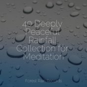40 Deeply Peaceful Rainfall Collection for Meditation