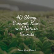 40 Sleepy Summer Rain and Nature Sounds