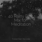 40 Rainy Day Mix for Meditation