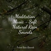 Meditation Music - Soft Natural Rain Sounds