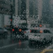 40 Enchanting Brain Find Relaxation and Meditation