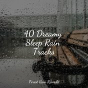40 Dreamy Sleep Rain Tracks