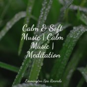 Calm & Soft Music | Calm Music | Meditation