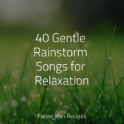 40 Gentle Rainstorm Songs for Relaxation