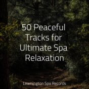 50 Peaceful Tracks for Ultimate Spa Relaxation