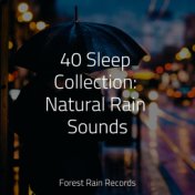 40 Sleep Collection: Natural Rain Sounds