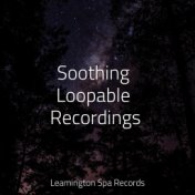 Soothing Loopable Recordings