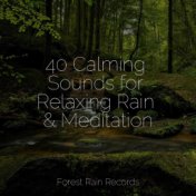 40 Calming Sounds for Relaxing Rain & Meditation