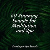 50 Stunning Sounds for Meditation and Spa