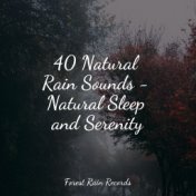 40 Natural Rain Sounds - Natural Sleep and Serenity