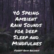 40 Spring Ambient Rain Sounds for Deep Sleep and Mindfulness