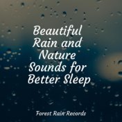 Beautiful Rain and Nature Sounds for Better Sleep