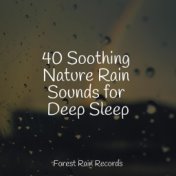 40 Soothing Nature Rain Sounds for Deep Sleep