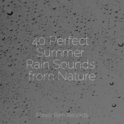 40 Perfect Summer Rain Sounds from Nature