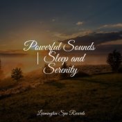 Powerful Sounds | Sleep and Serenity