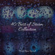 40 Best of Storm Collection