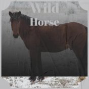 Wild Horse