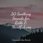 50 Soothing Sounds for Reiki & Mindfulness