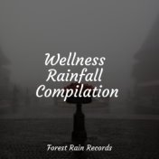 Wellness Rainfall Compilation