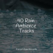 40 Rain Ambience Tracks