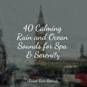 40 Calming Rain and Ocean Sounds for Spa & Serenity