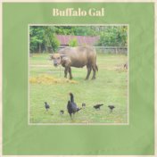 Buffalo Gal