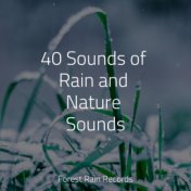 40 Sounds of Rain and Nature Sounds