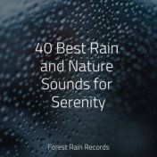 40 Best Rain and Nature Sounds for Serenity