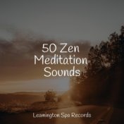 50 Zen Meditation Sounds