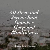 40 Sleep and Serene Rain Sounds - Sleep and Mindfulness