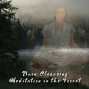 Aura Cleansing Meditation in the Forest: Woodland Reiki Session
