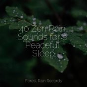 40 Zen Rain Sounds for a Peaceful Sleep