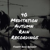 40 Meditation Autumn Rain Recordings