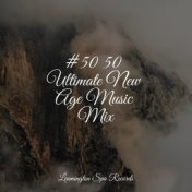 #50 50 Ultimate New Age Music Mix