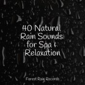 40 Natural Rain Sounds for Spa & Relaxation