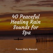 40 Peaceful Healing Rain Sounds for Spa