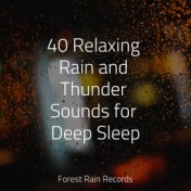 40 Relaxing Rain and Thunder Sounds for Deep Sleep