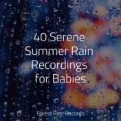 40 Serene Summer Rain Recordings for Babies